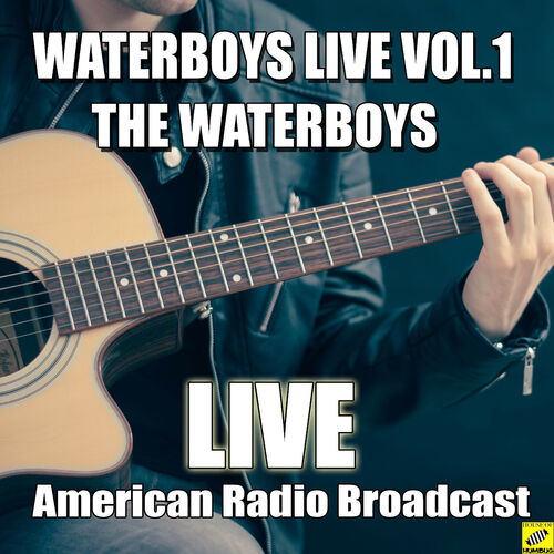 The Waterboys